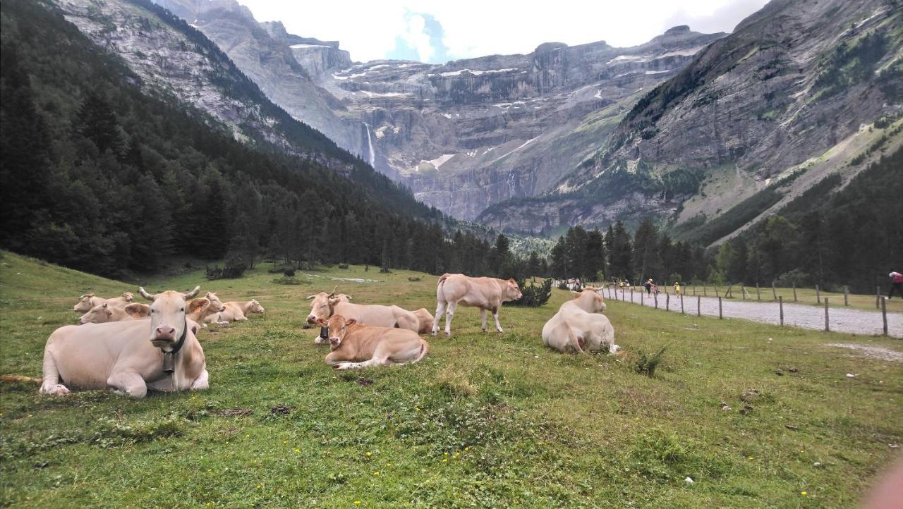 En Pleine Montagne Avec Vue Sur Marmottes Appartement