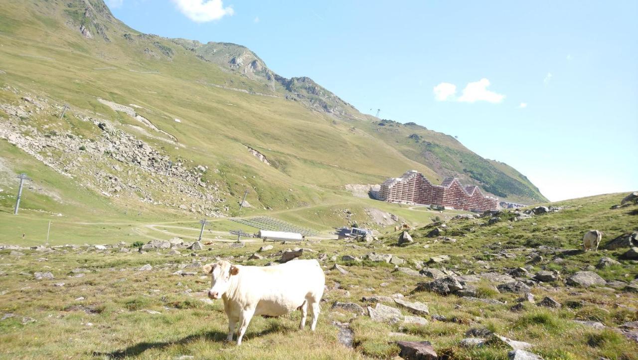 En Pleine Montagne Avec Vue Sur Marmottes La Mongie