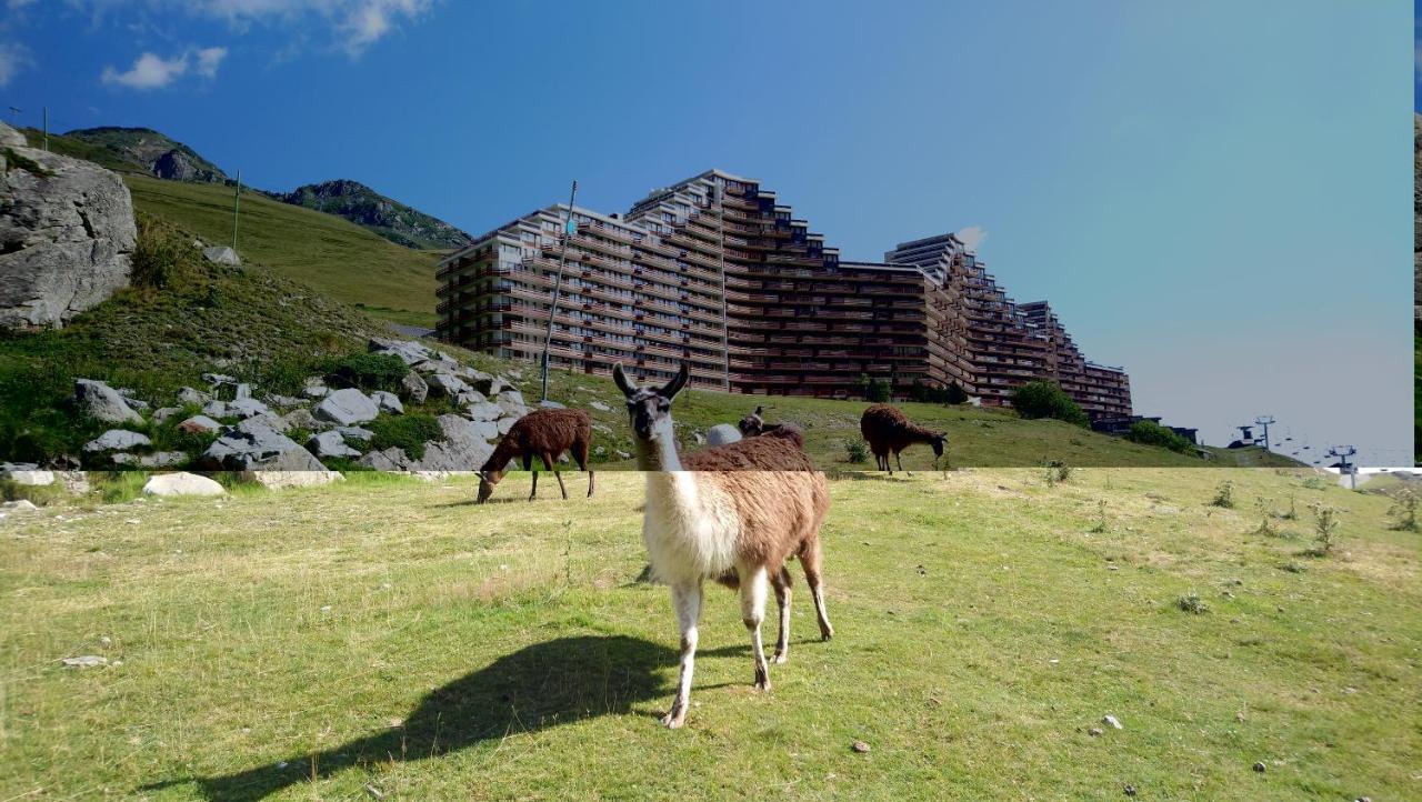 En Pleine Montagne Avec Vue Sur Marmottes *