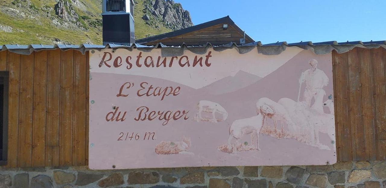 En Pleine Montagne Avec Vue Sur Marmottes La Mongie